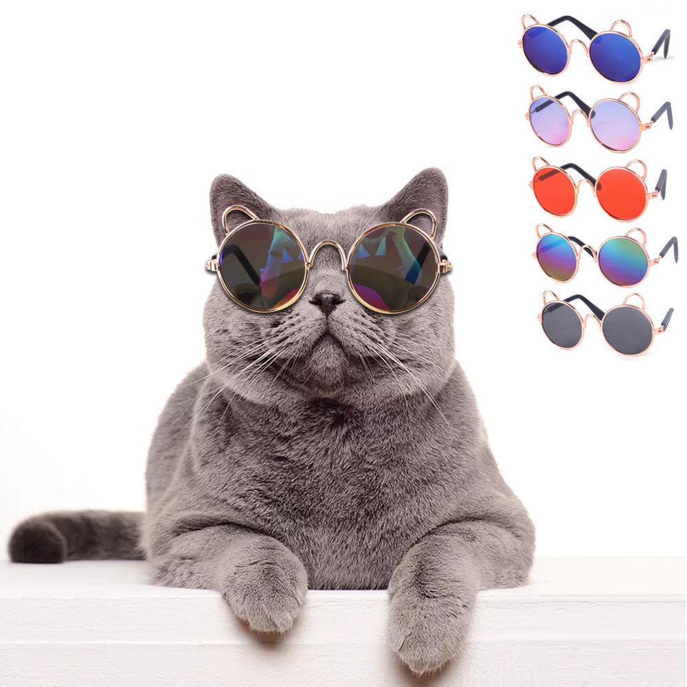 Cat Cute Dog Teddy Sunglasses